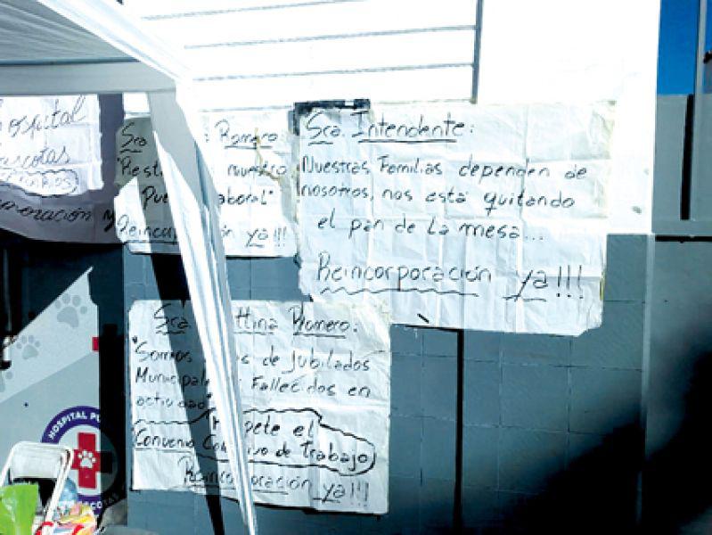 sociedad-hospital de mascotas