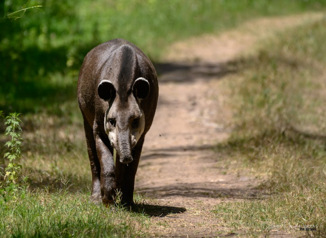 salta mas iva omar torres1