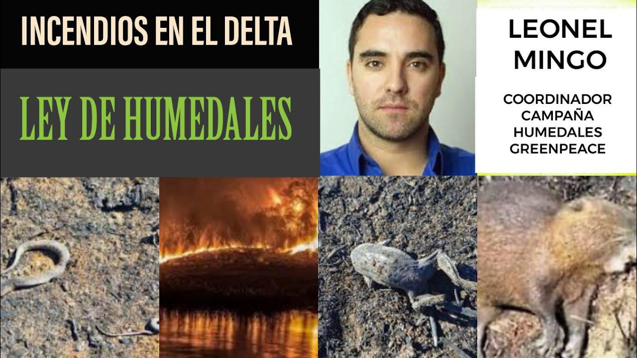 leonel mingo greenpeace