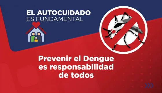 dengue 1