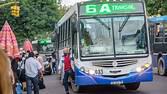 COLECTIVOS 1
