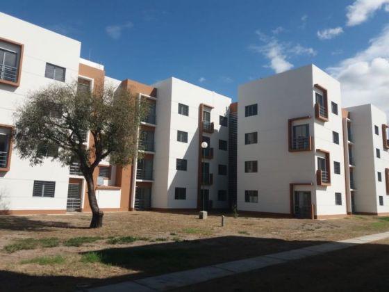 IPV-barrio el bosque