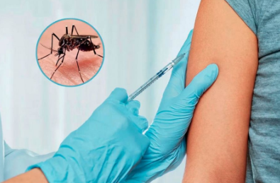 dengue