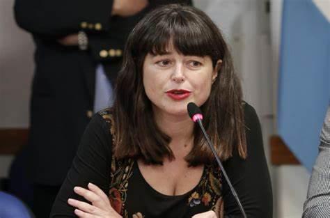 Carolina Gaillard, DIPUTADA