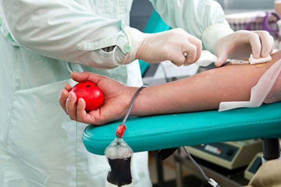 donar sangre
