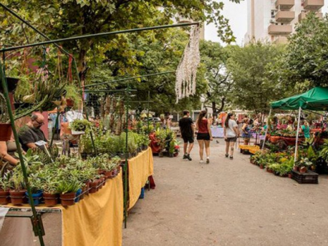 feria ecologica