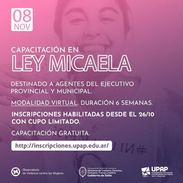 capacitacion ley micaela