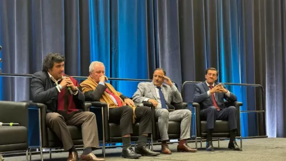 martin de los rios mineria