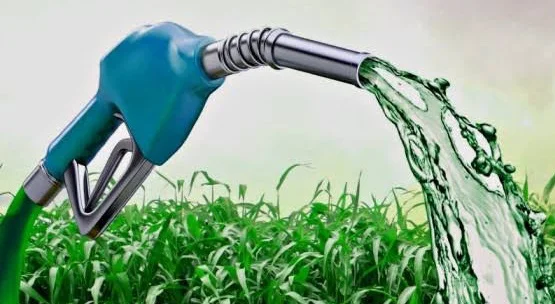 EconomiaBiocombustible