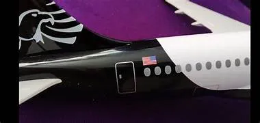 Domus Airways S.A 1