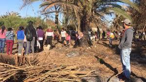toma de tierras yamila veleizan 2