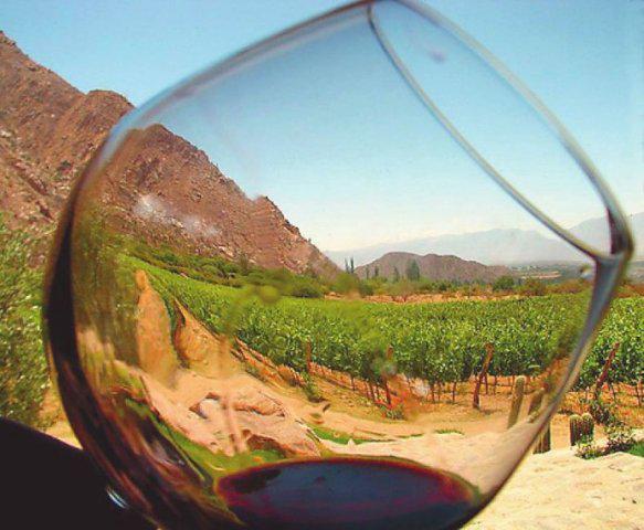 vinos