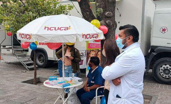 medula osea