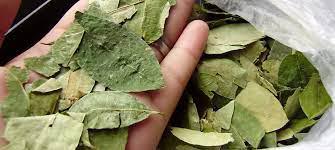 policiales hojas de coca