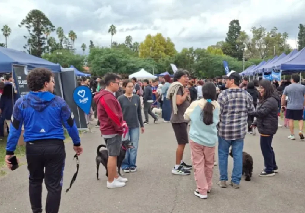 Municipalidadferianimal