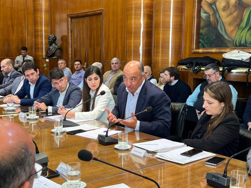 consejo federal