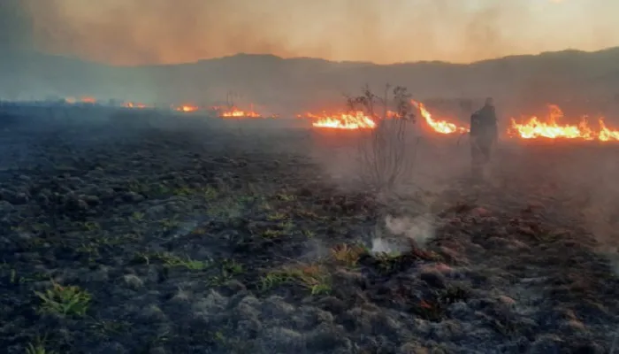 Incendio