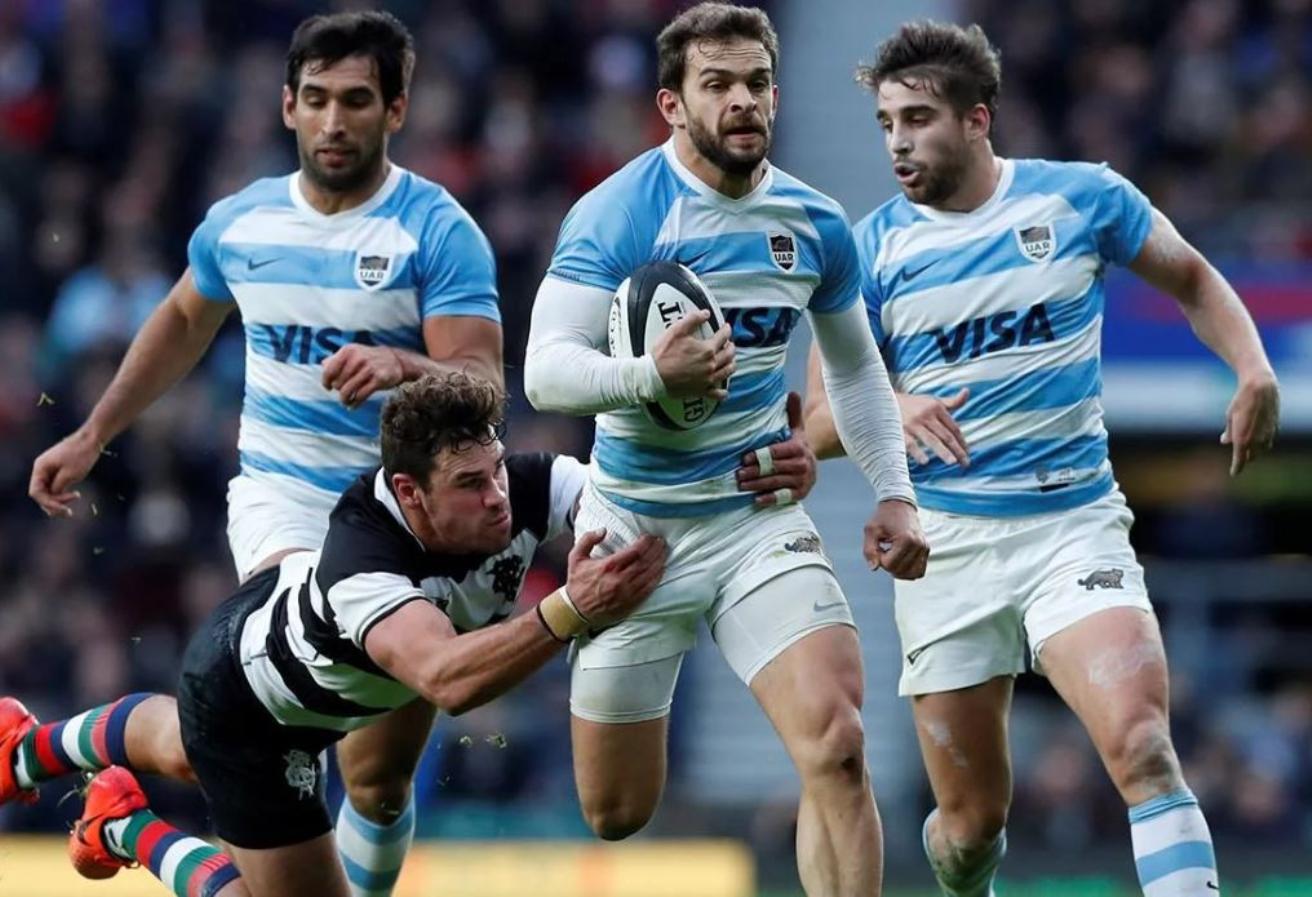 deportes-rugbypumas