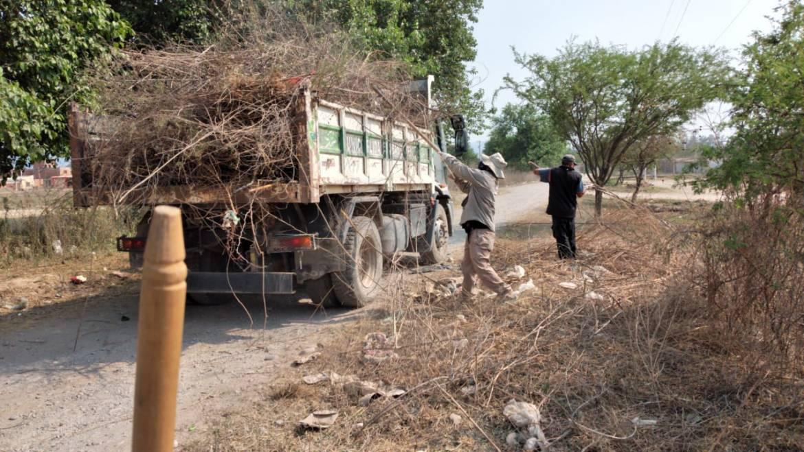 municipio de san lorenzo 3