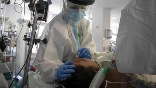 salud-coronavirus fallecidos