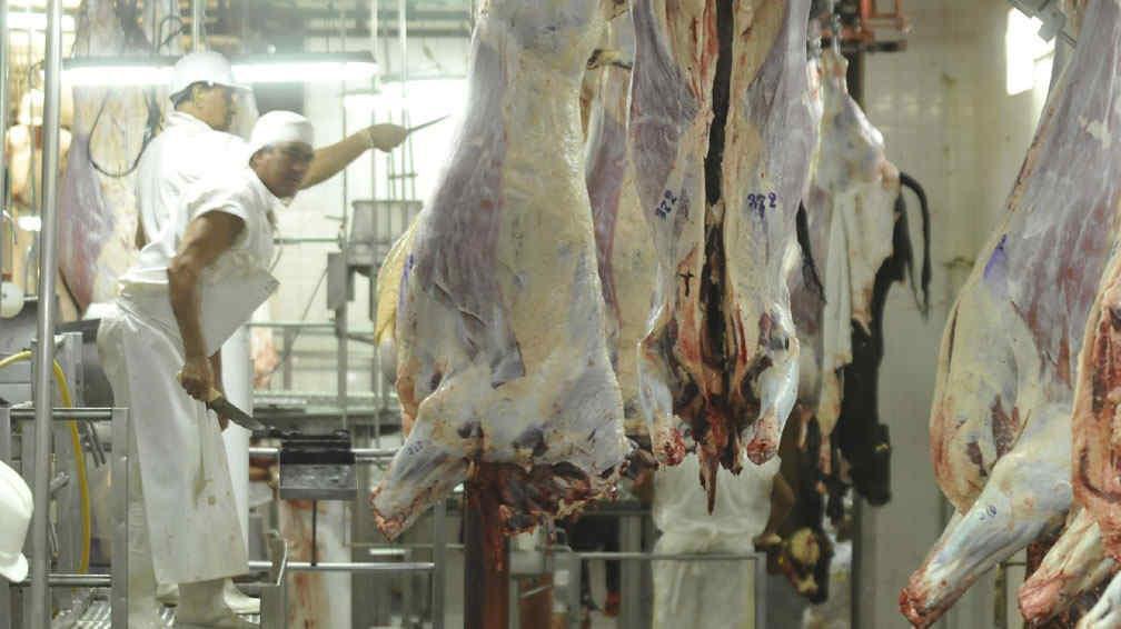 economia-carne6