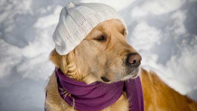 clima-salta-frio