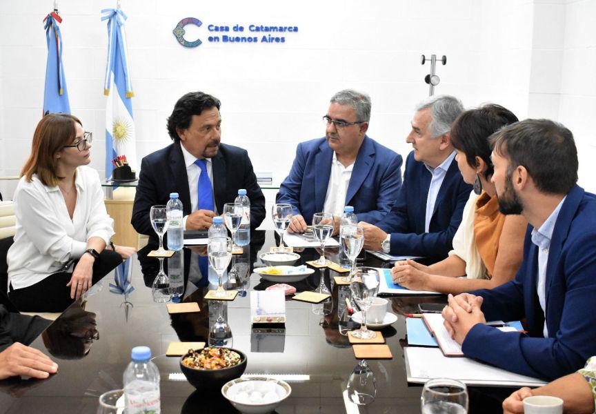 politica saenz litio