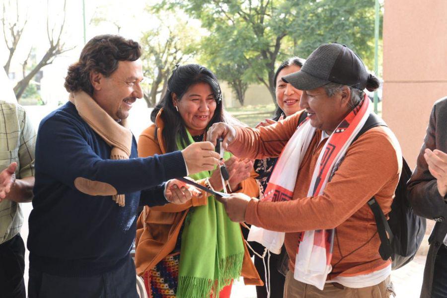 politica saenz ippis