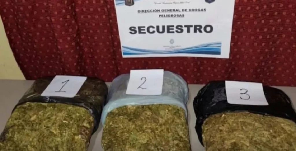 Policialesdroga13