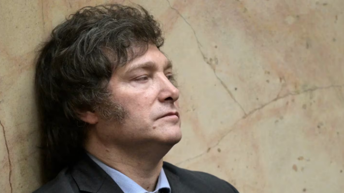 politica javier milei