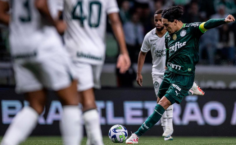 deportes palmeiras