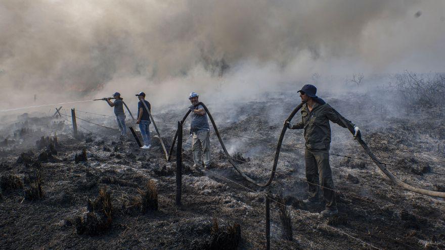 incendio corrientes1