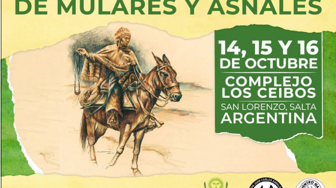 municipio san lorenzo