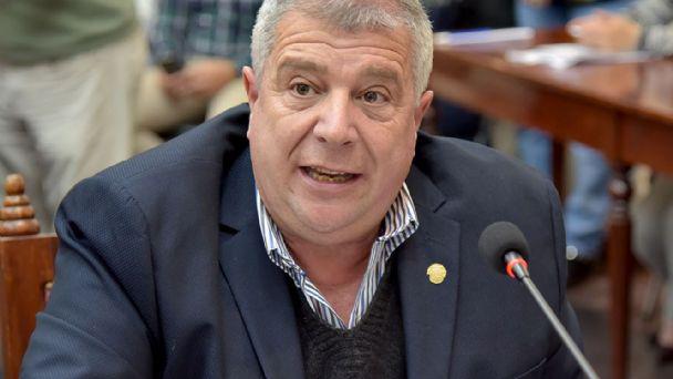 politica-angel causarano