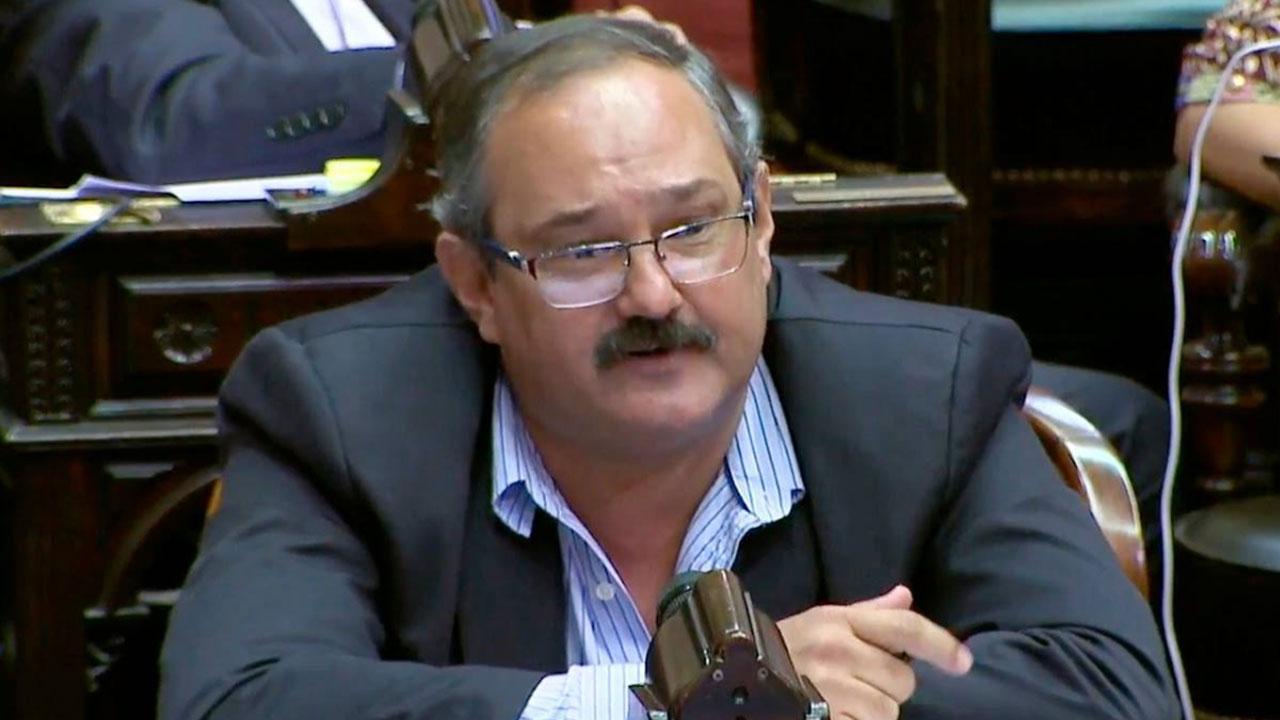 politica-oso leavy