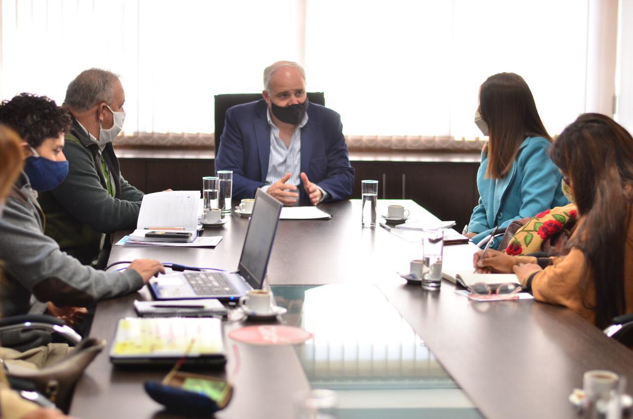 educacion- matias canepa