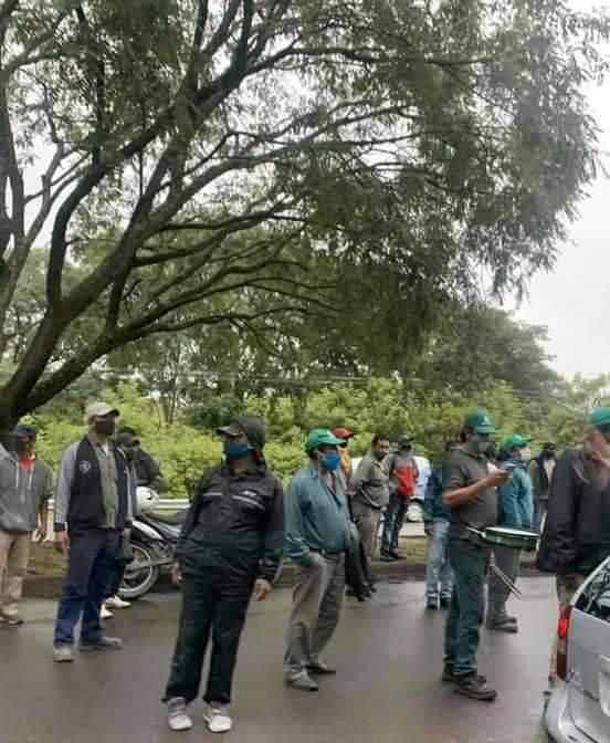 municipalidad de san lorenzo 4