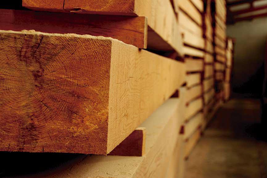 medio ambiente madera