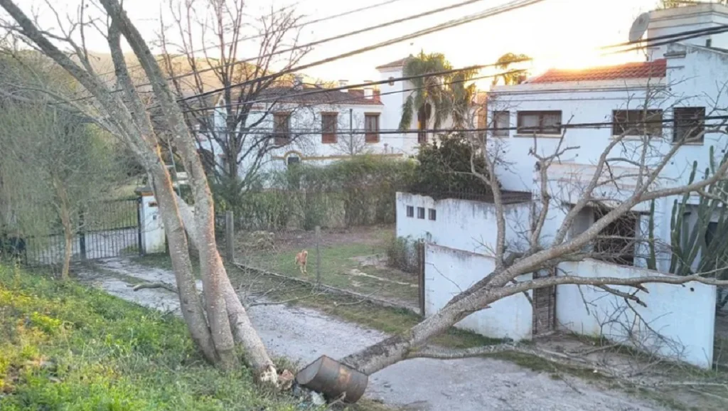 Munisanloviento