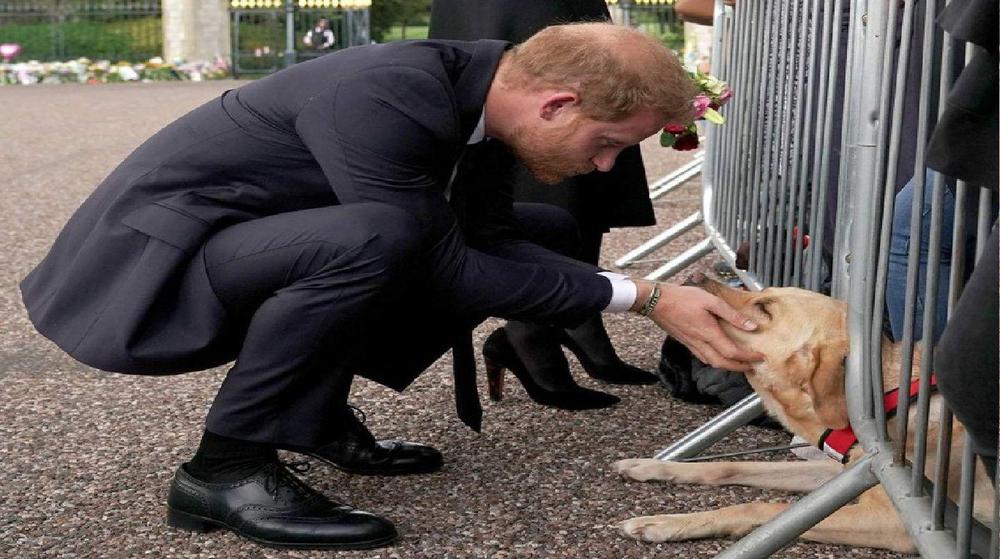 mundo principe harry