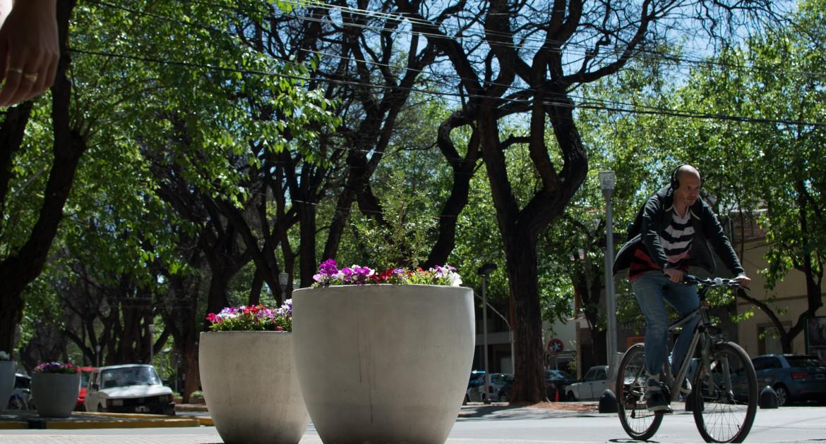 municipalidad macetas1