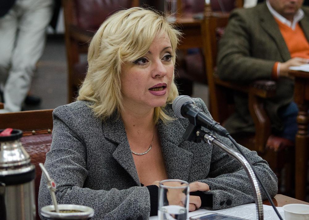 politica-frida fonseca