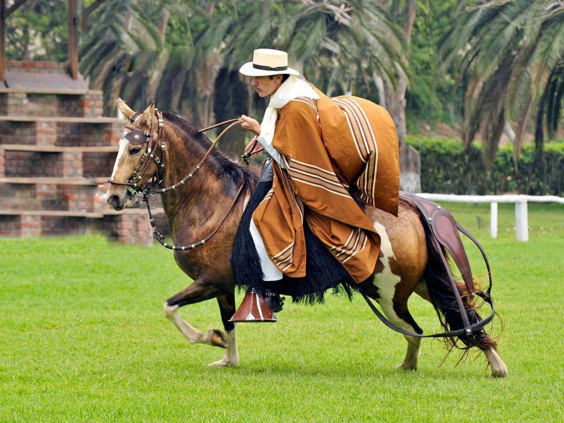 caballos1