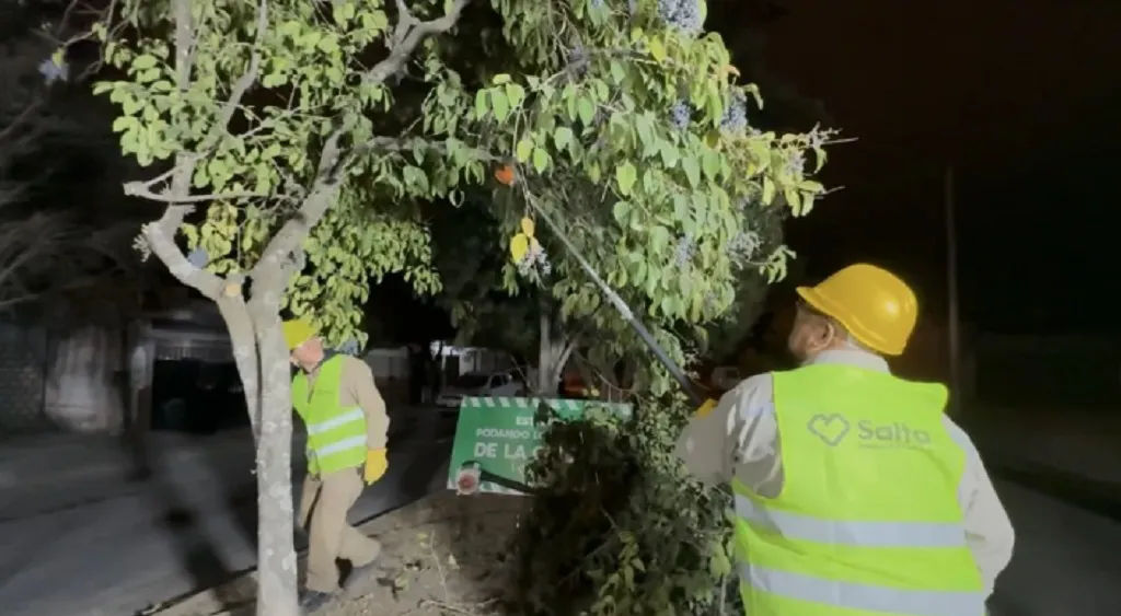 Municipalidaddesaltapoda