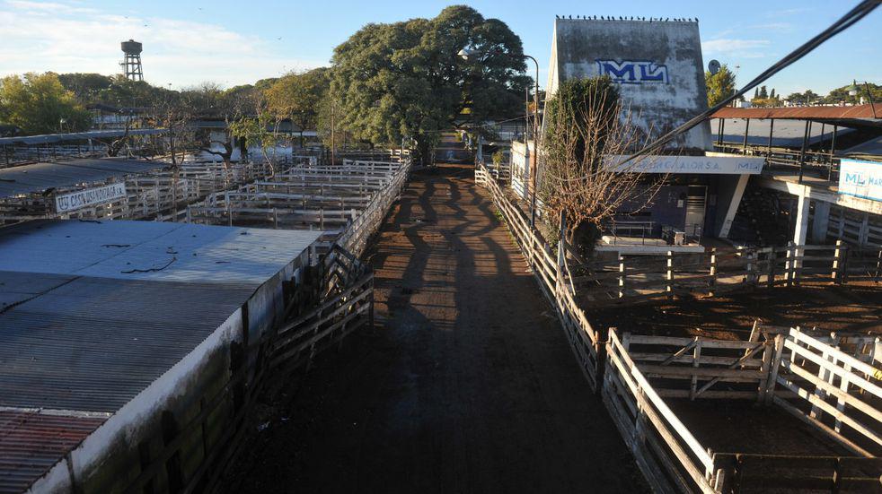 campo