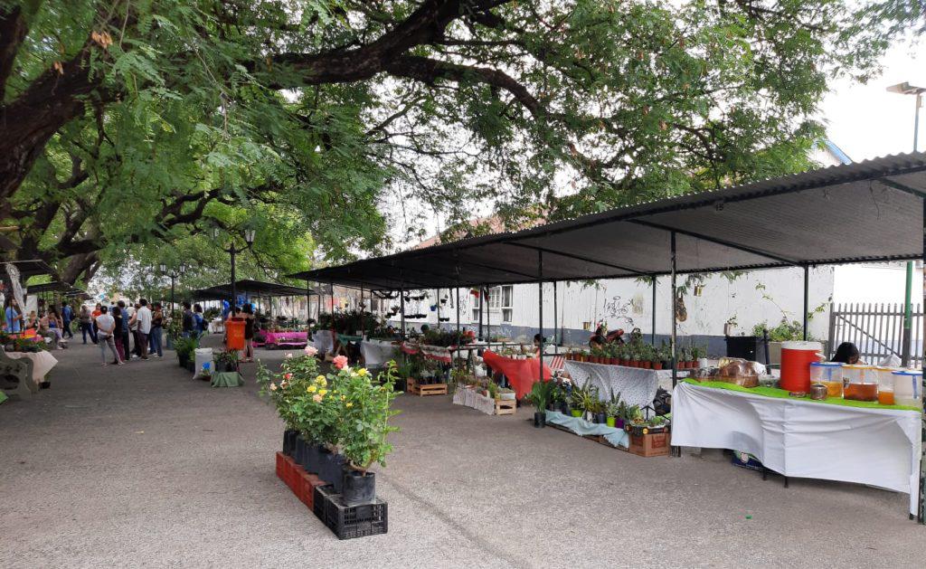 feria-de-plantas-paseo-ameghino-1-1024x629
