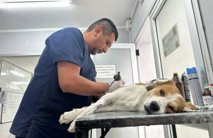 MunicipalidadCastracion